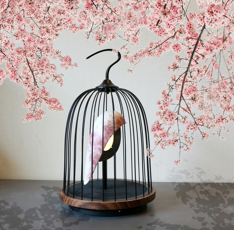 JinGoo Cherry Blossom - DAQI CONCEPT