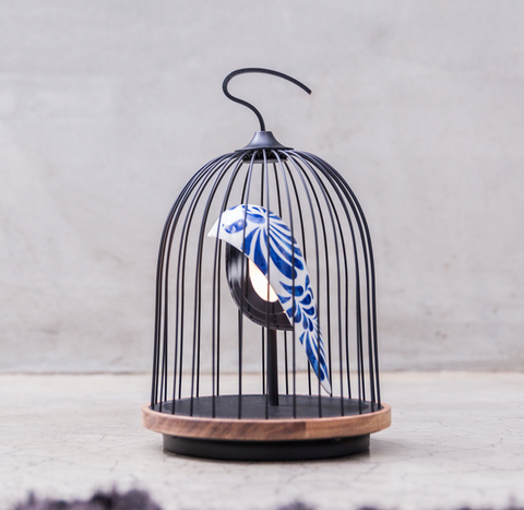 JinGoo Feather China - DAQI CONCEPT