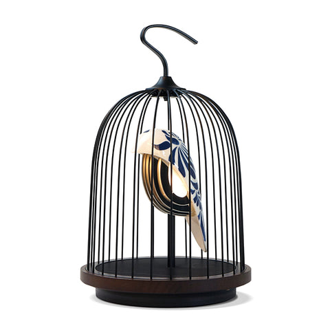 JinGoo Feather China - DAQI CONCEPT