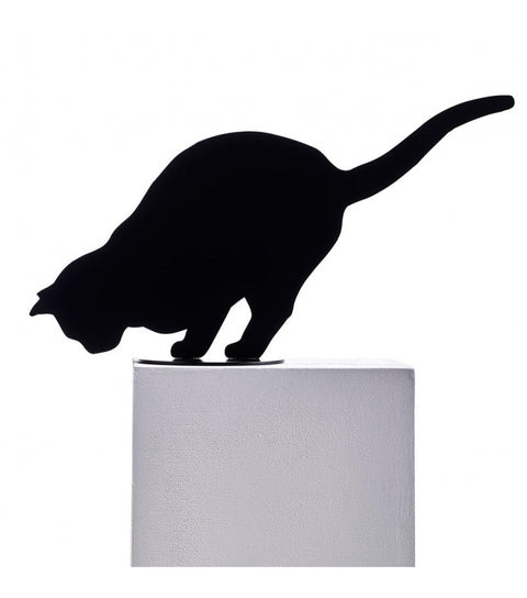 Ombres de Chats - OPINION CIATTI