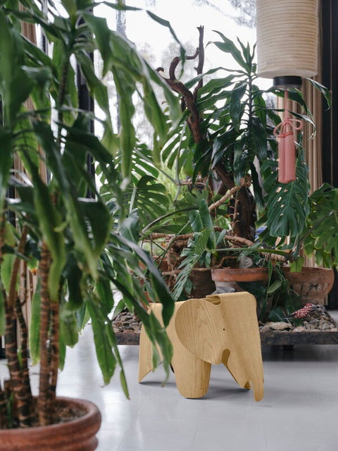Eames Elephants Chestnut natural - VITRA