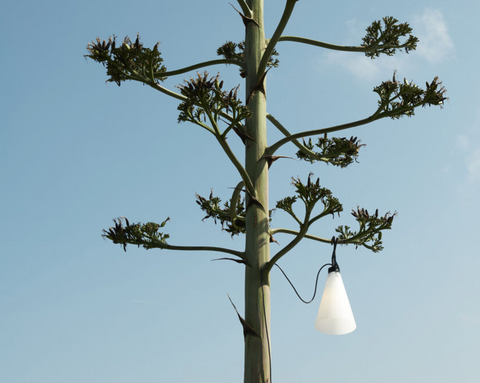 Mayday Outdoor Mustered Yellow - FLOS