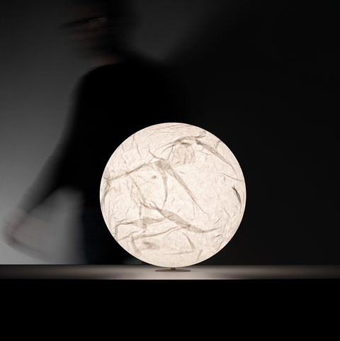 Moon T - DAVIDE GROPPI