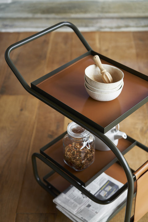 Zenzero Trolley - OPINION CIATTI