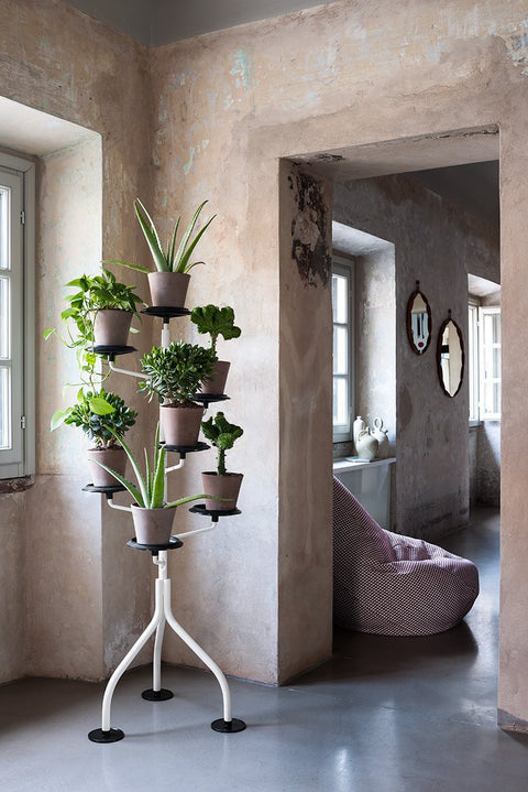 Albero Flowerpot stand - ZANOTTA
